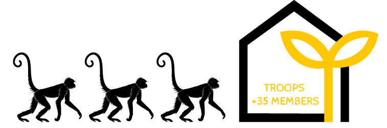 Logo of a yellow abstract plant with text 'TROOPS +35 MEMBERS' on the right side.