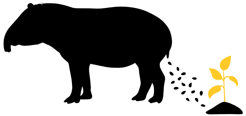 Silhouette of a tapir with seeds falling, growing a plant.