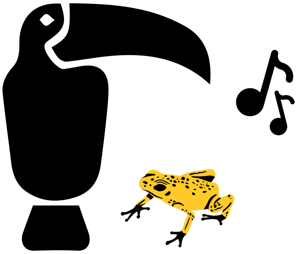 Silhouette of toucan, yellow frog, and music notes on green background.