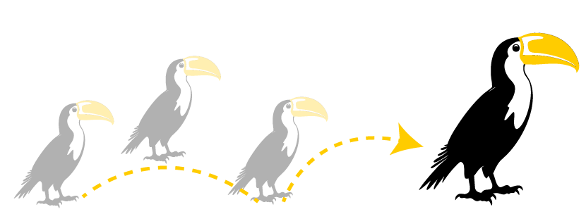Four toucan silhouettes with yellow beaks, increasing in size, connected by dashed lines with an arrow.
