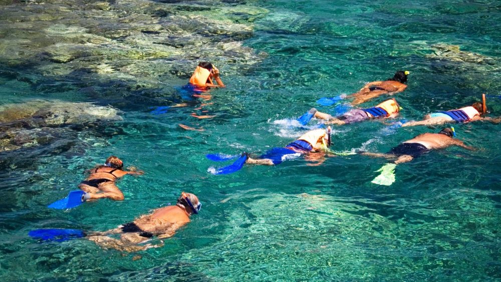 Six snorkelers with flippers explore clear turquoise water near rocks.
