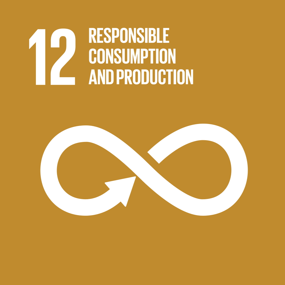 Infinity symbol with text: 'Responsible Consumption and Production,' number 12 on gold background.