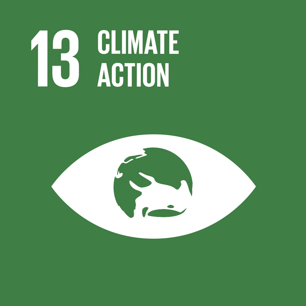 Green background with eye symbol featuring Earth and text: '13 Climate Action'.