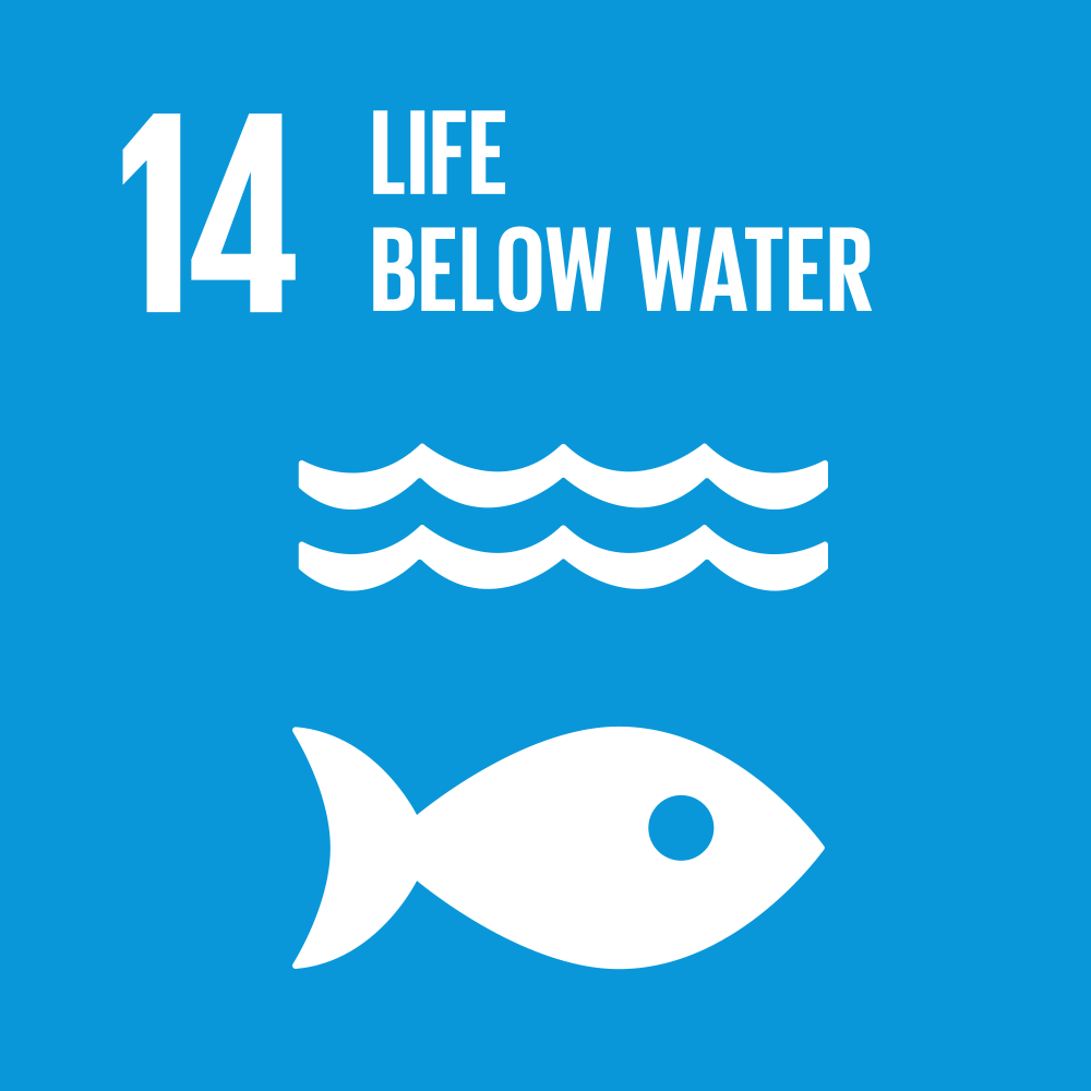 Icon for Sustainable Development Goal 14: Life Below Water, with waves and a fish on blue background.