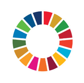 Colorful circle with 17 colored segments on white background.