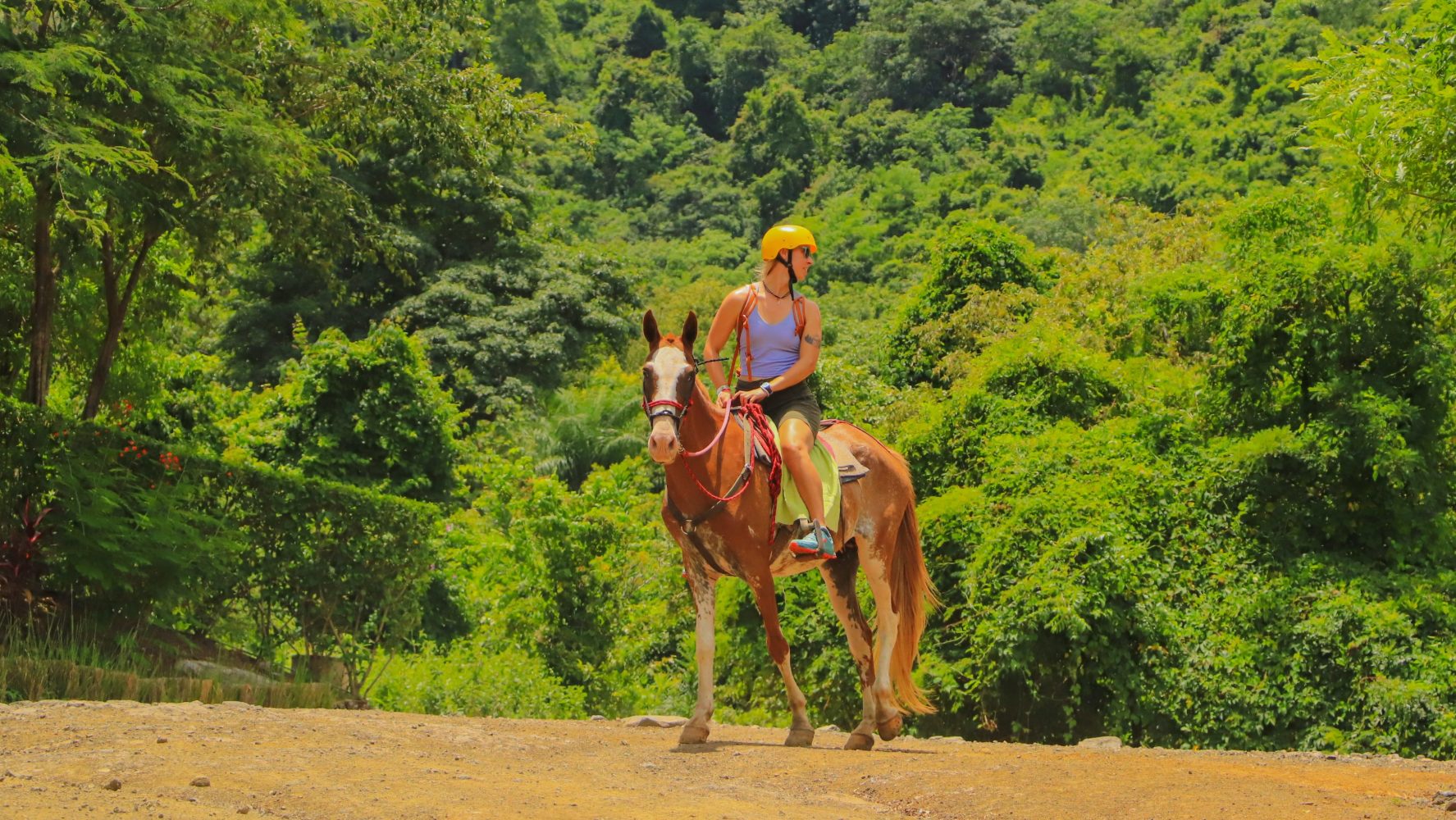 Person riding a horse on a dirt path with lush green forest background.