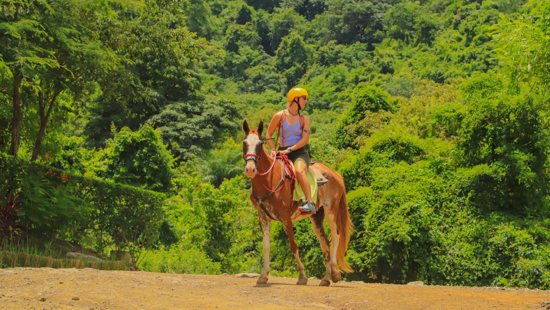 Person riding a horse on a dirt path, surrounded by lush green trees.